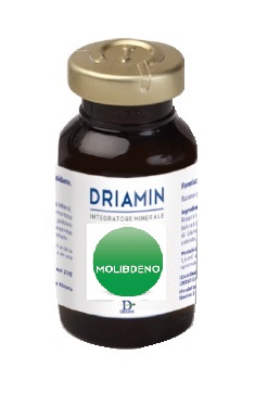 DRIAMIN MOLIBDENO 15 ML