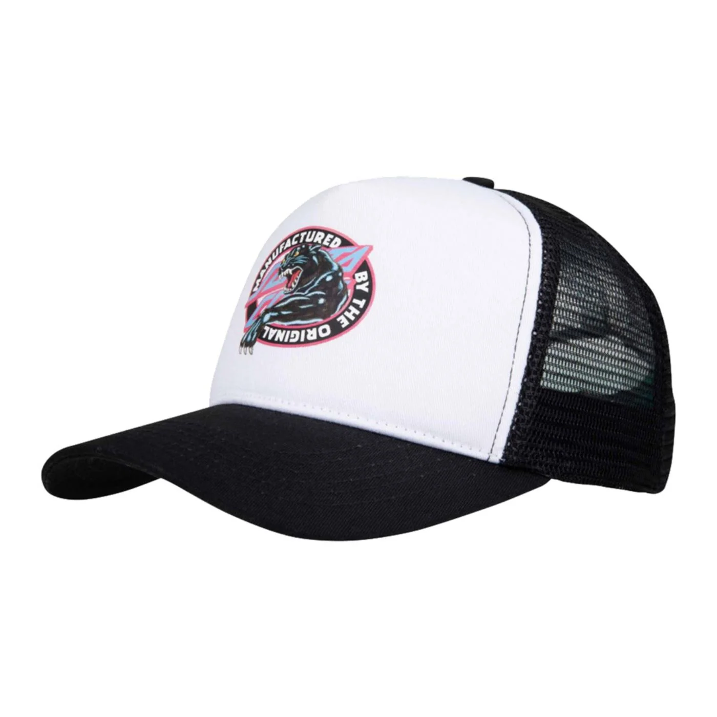 SANTA CRUZ NATAS SKETCH PANTHER CAP