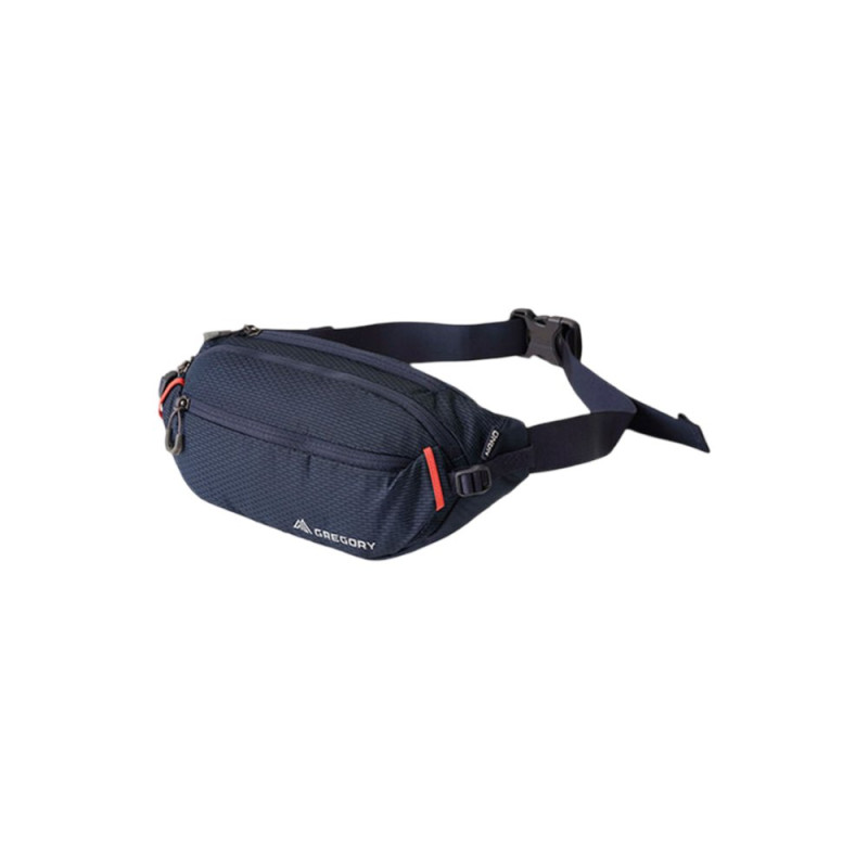 GREGORY - MARSUPIO NANO WAISTPACK