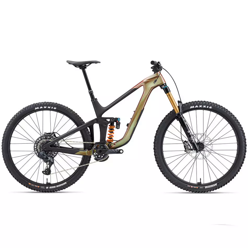 BICI GIANT REIGN ADVANCED PRO 0