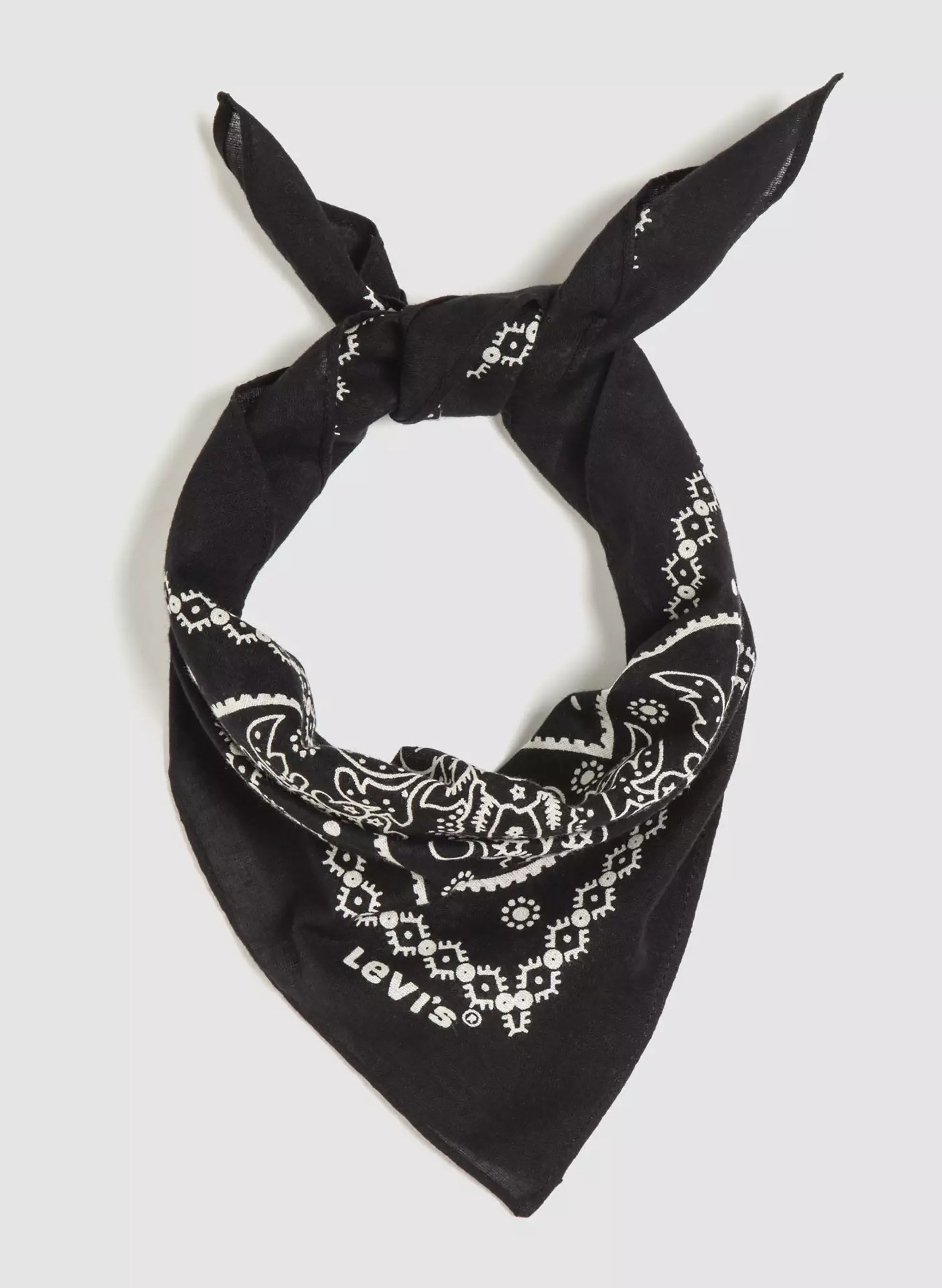 BANDANA PAISLEY