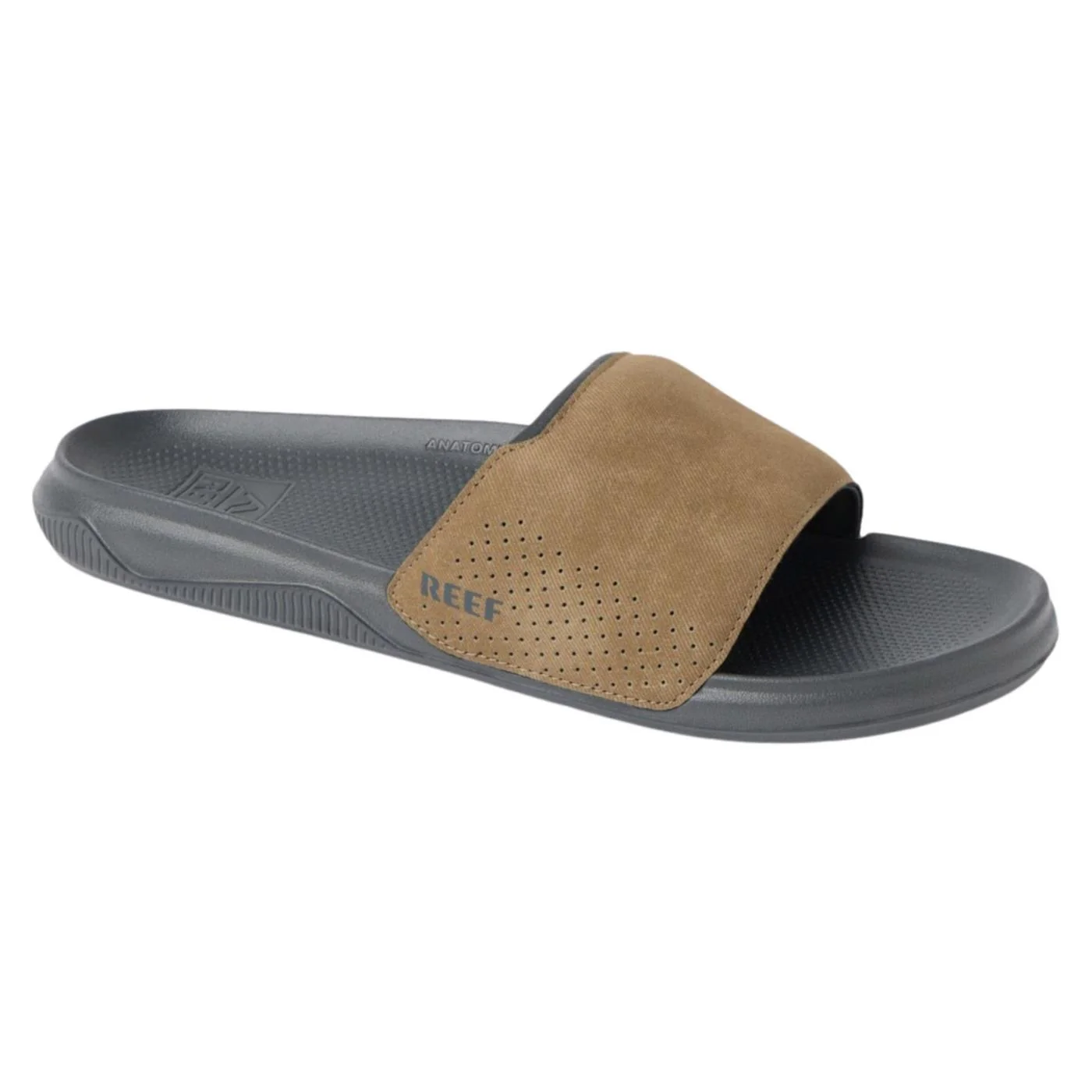 REEF TAILSLIDE — Animasportiva