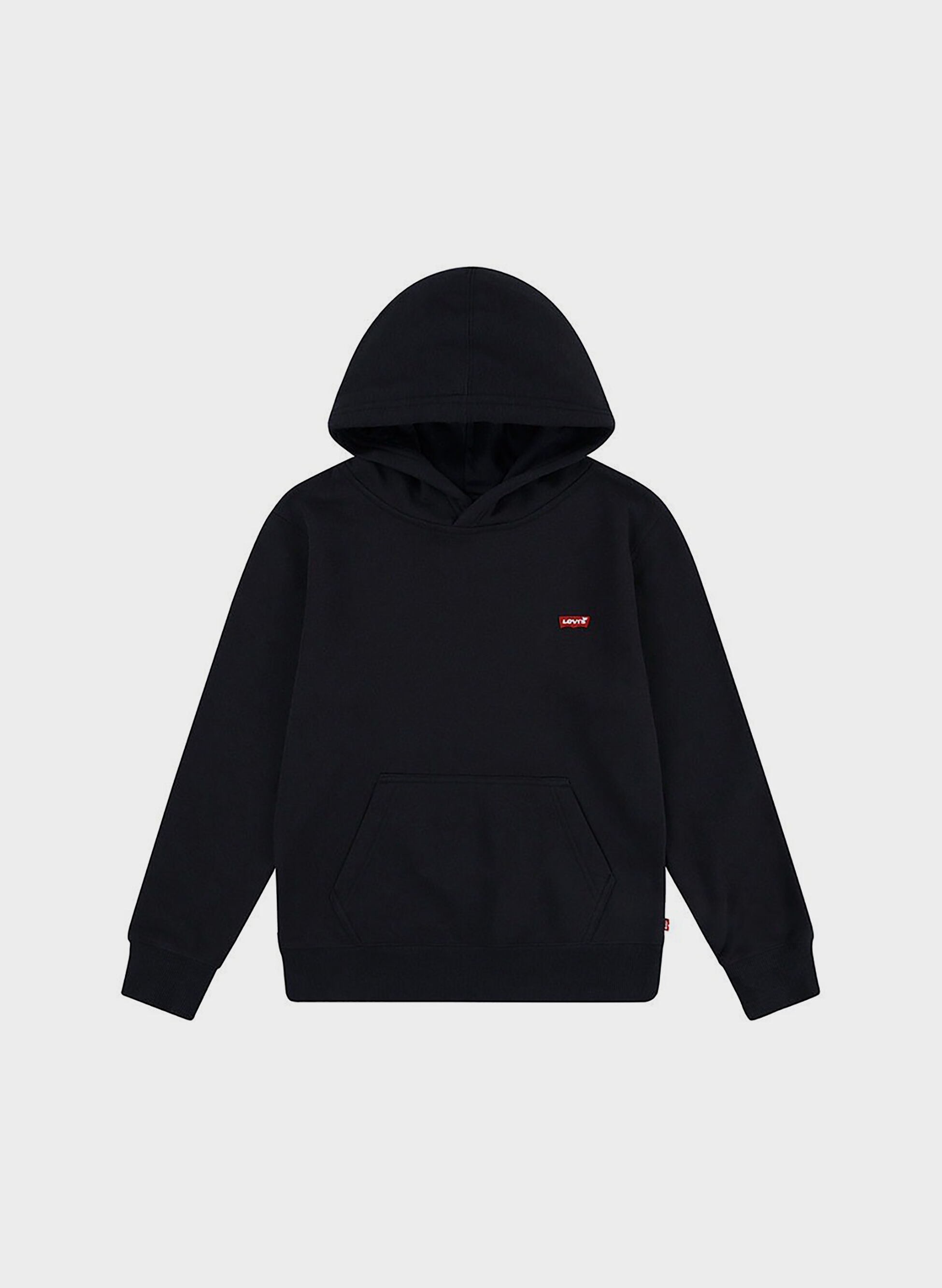 FELPA MICRO LOGO HOODIE RAGAZZO