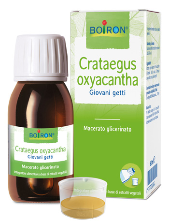 CRATAEGUS OXY BOI MACERATO GLICERINATO 60 ML INT