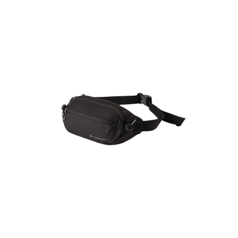 GREGORY - MARSUPIO LIFESTYLE NANO WAISTPACK 4 LITRI — Viglietti Sport
