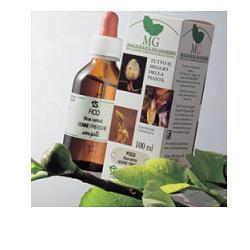 FICO 100 ML MG