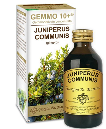 GINEPRO 100 ML ANALCO GEMMO 10+