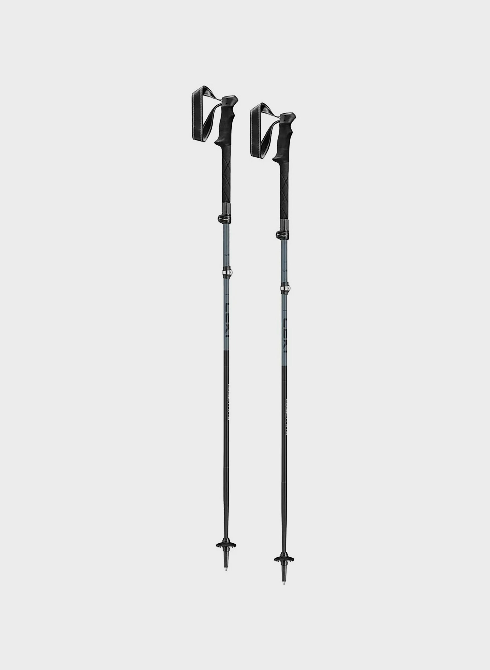 BASTONCINI LEGACY FX TA