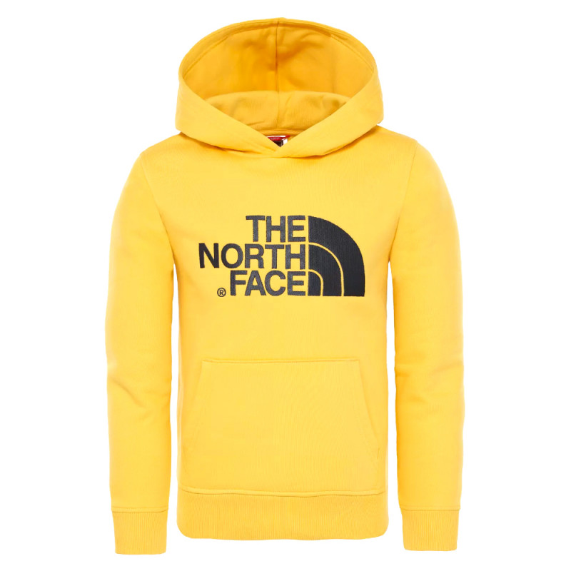THE NORTH FACE - FELPA Y DREW PEAK PO HDY