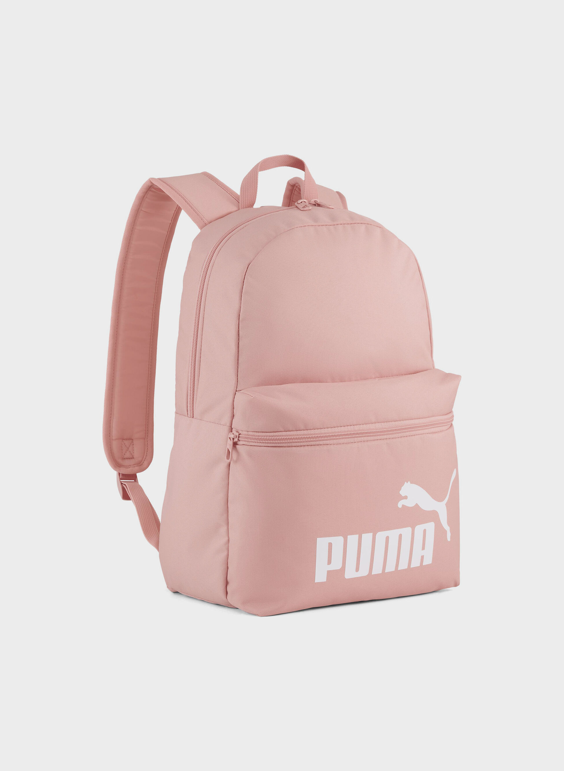 ZAINO PHASE 22L