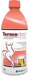 TERMODREN ECO GUSTO TÈ ALLA PESCA 500 ML