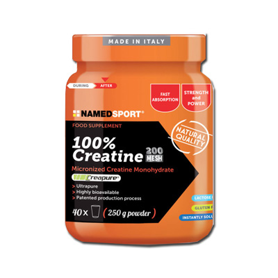CREATINA 100% 250G NAMED