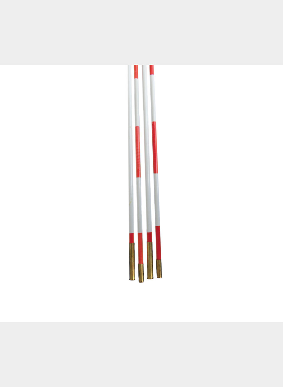 COPPIA ANTENNE VETRORESINA DIVISE