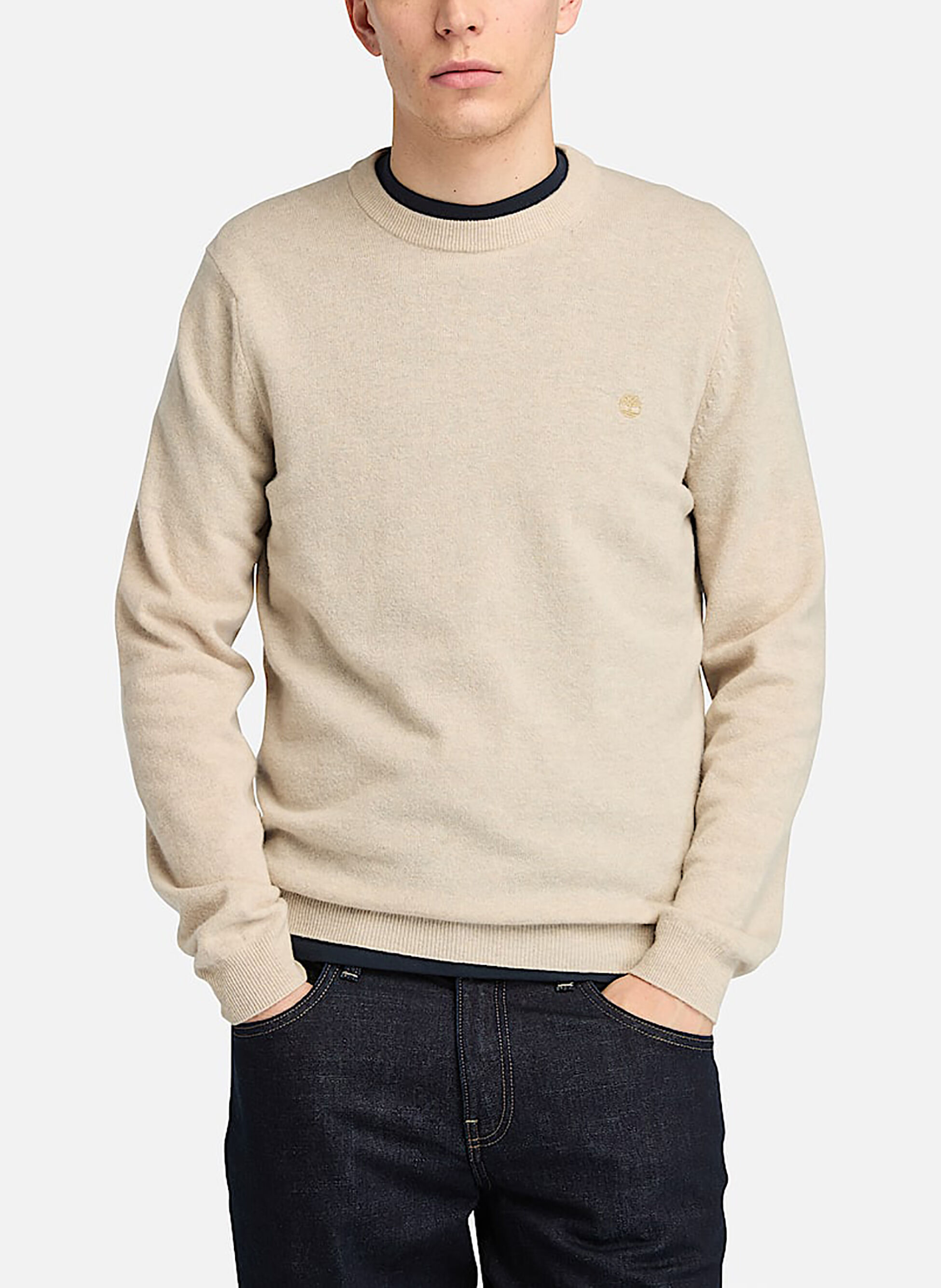 MAGLIONE GIROCOLLO COHAS BROOK
