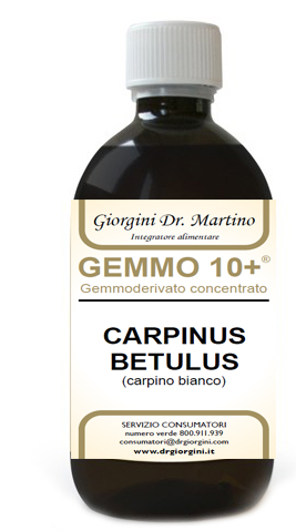 CARPINO BIANCO ANALCOLICO 500 ML GEM10+