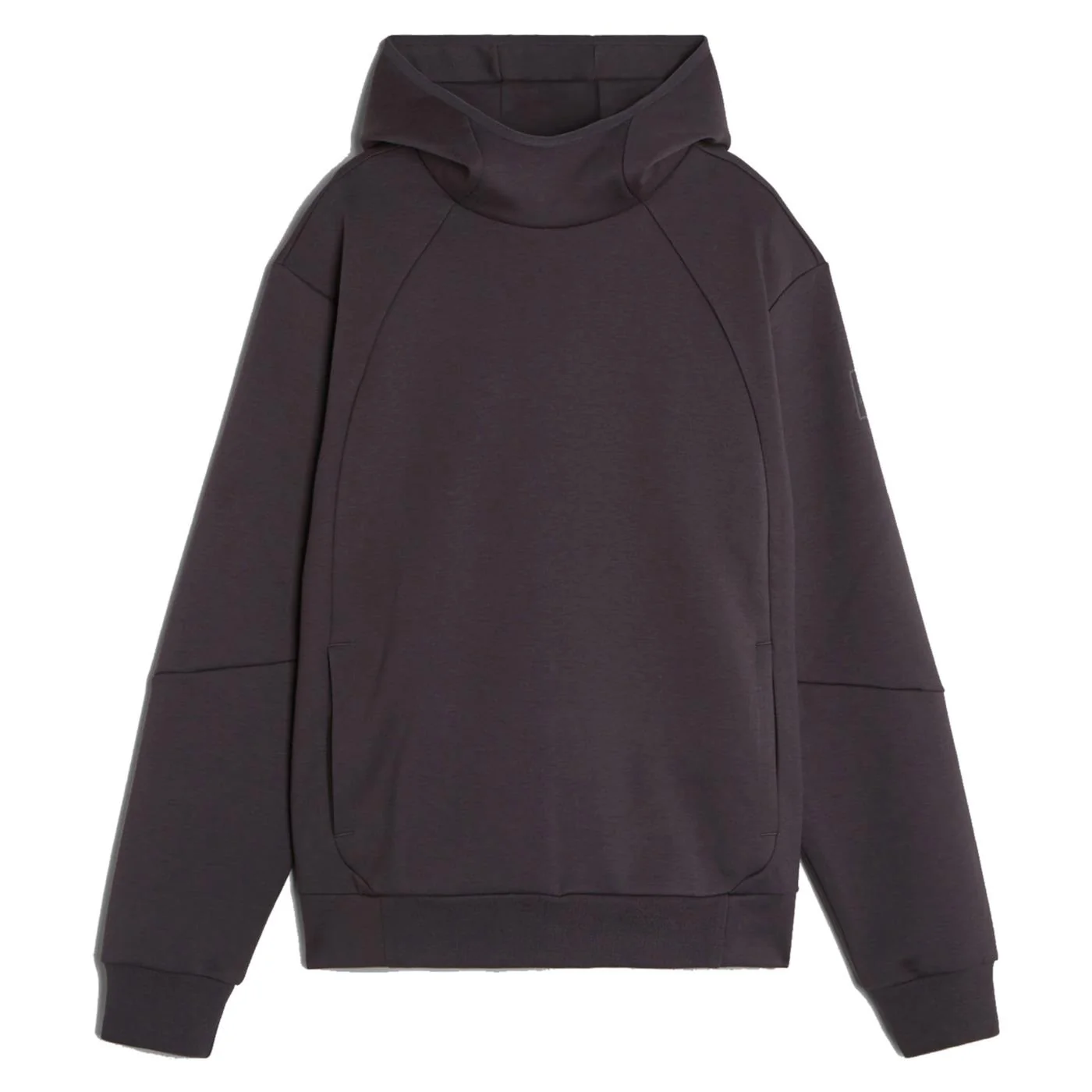 CHAMPION HOODED SWEATSHIRT — Animasportiva