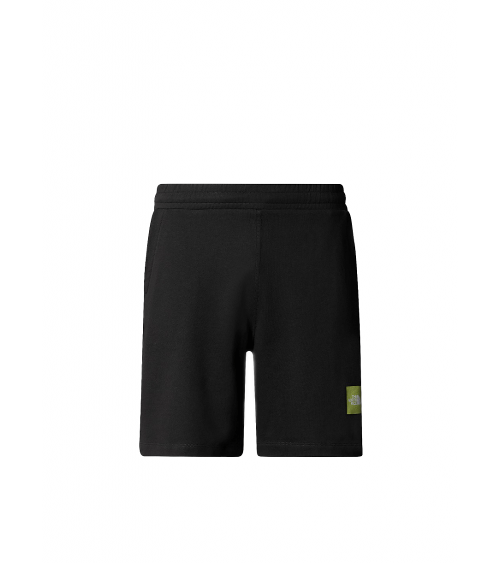 SHORTS THE NORTH FACE COORDINATES BLACK MEN
