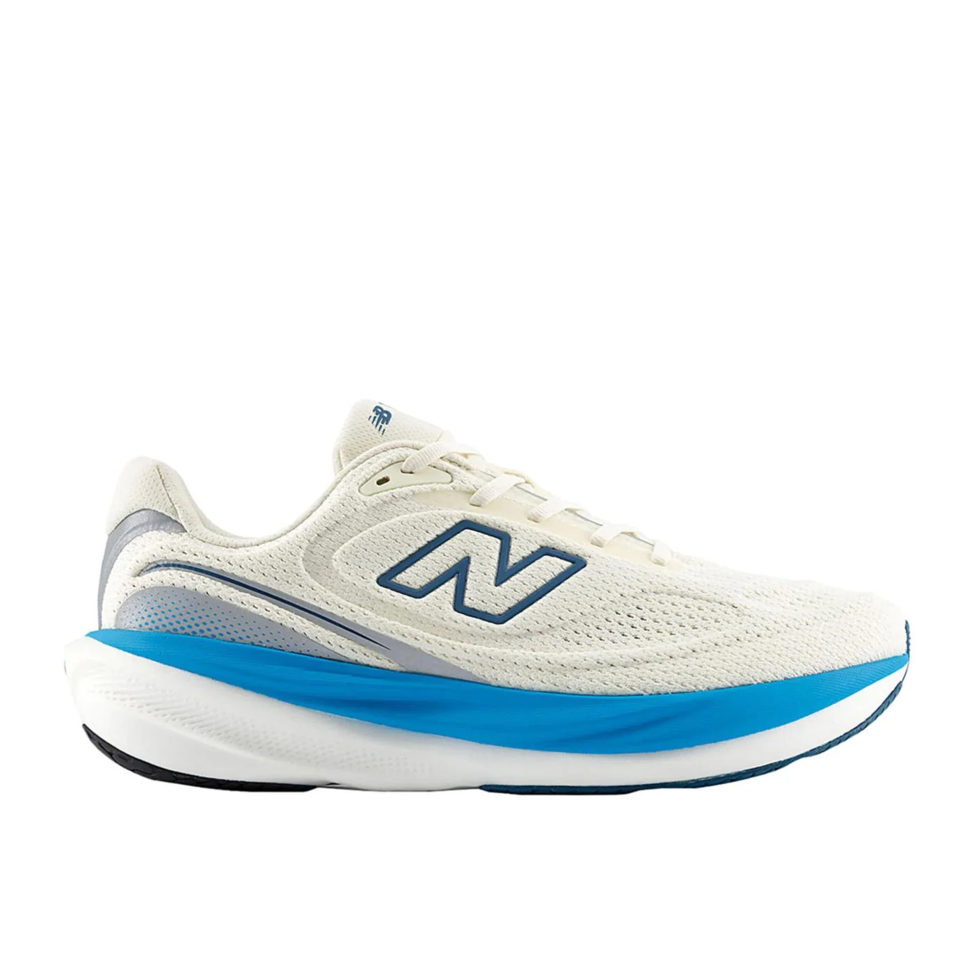 NEW BALANCE 1080 V15 — Animasportiva