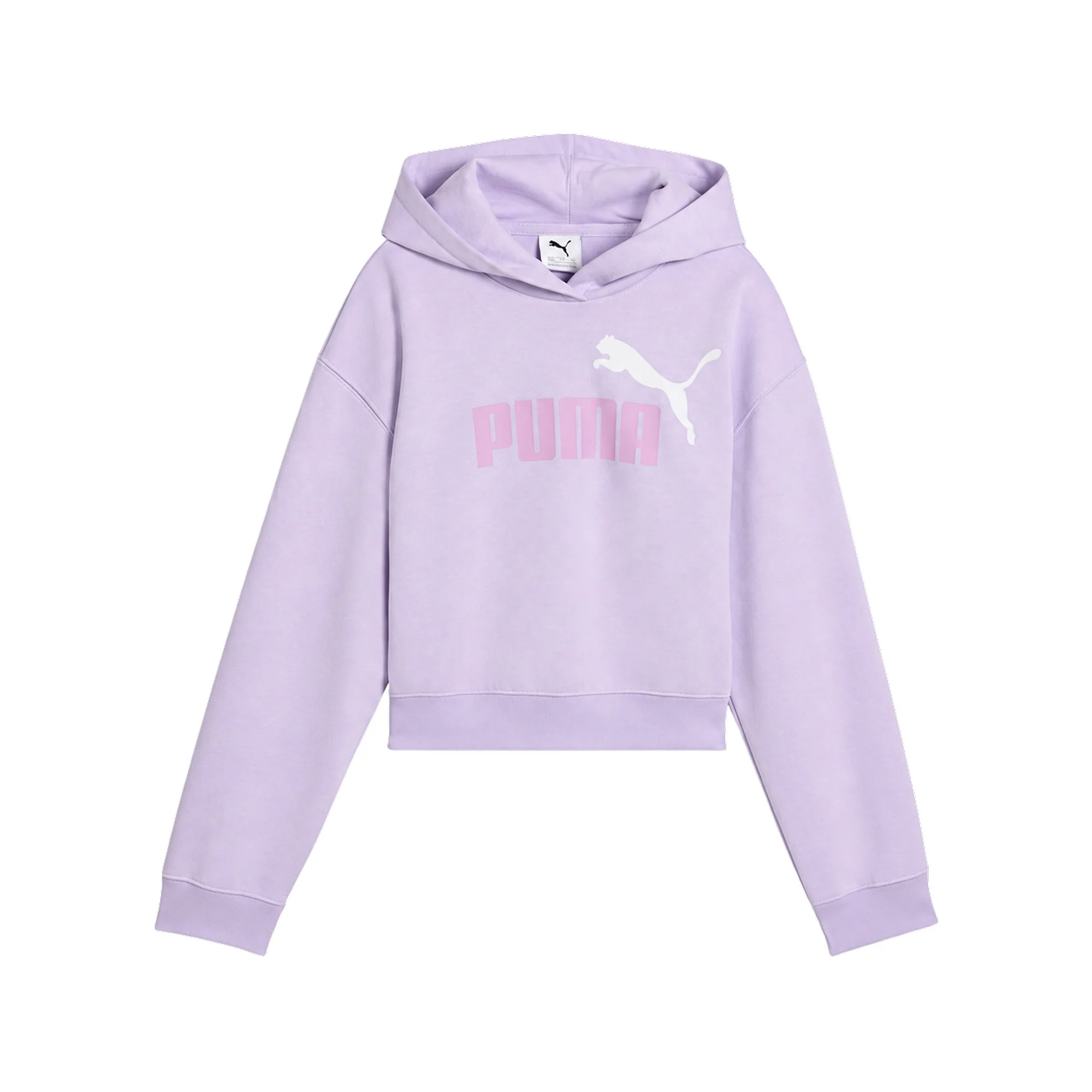 PUMA ESS 2COLOR LOGO HOODIE JR — Animasportiva