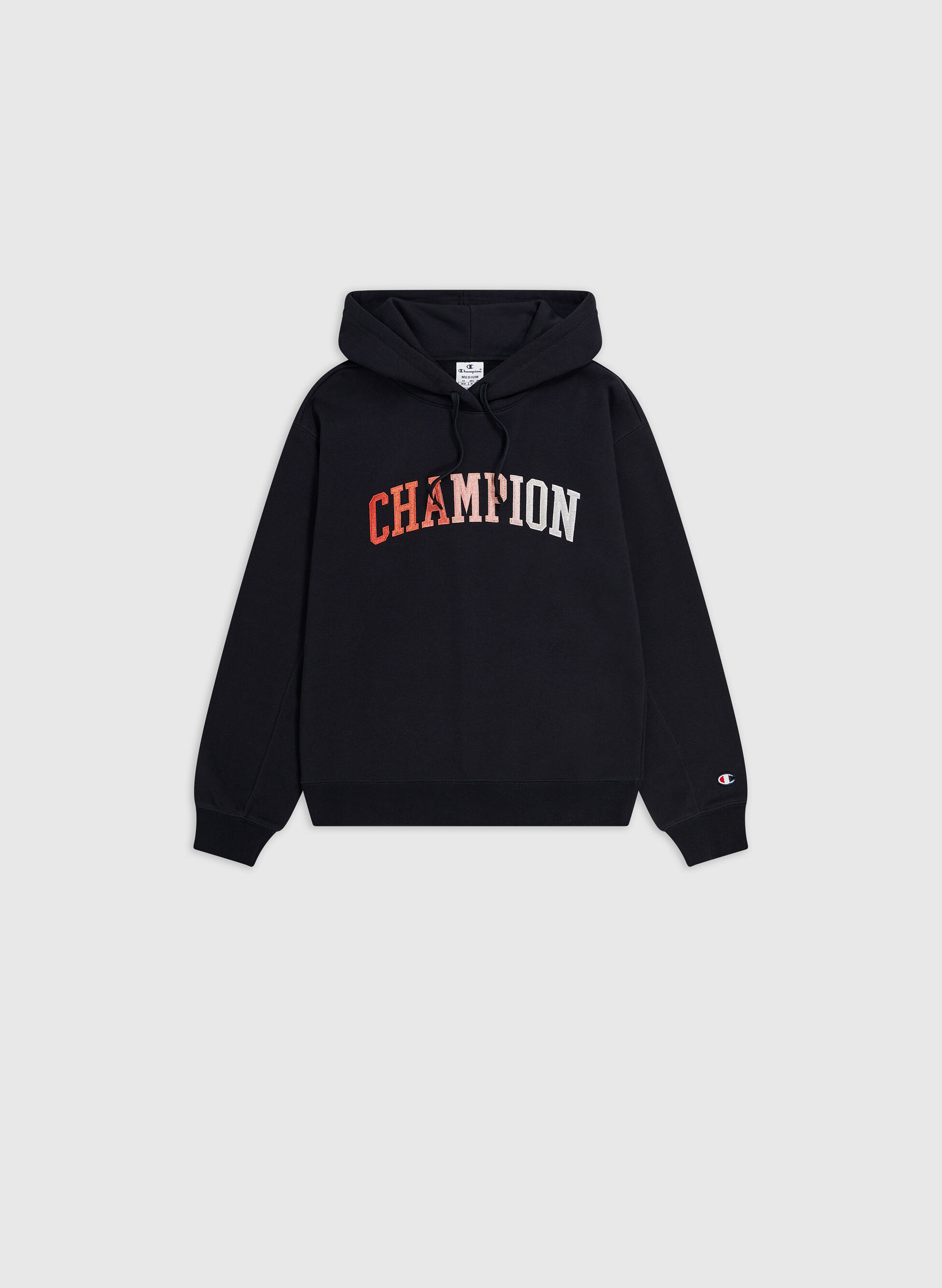 FELPA ICONS HOODIE