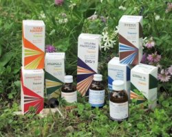 RAEMIL CP1 CIPRESSO COMP 25ML