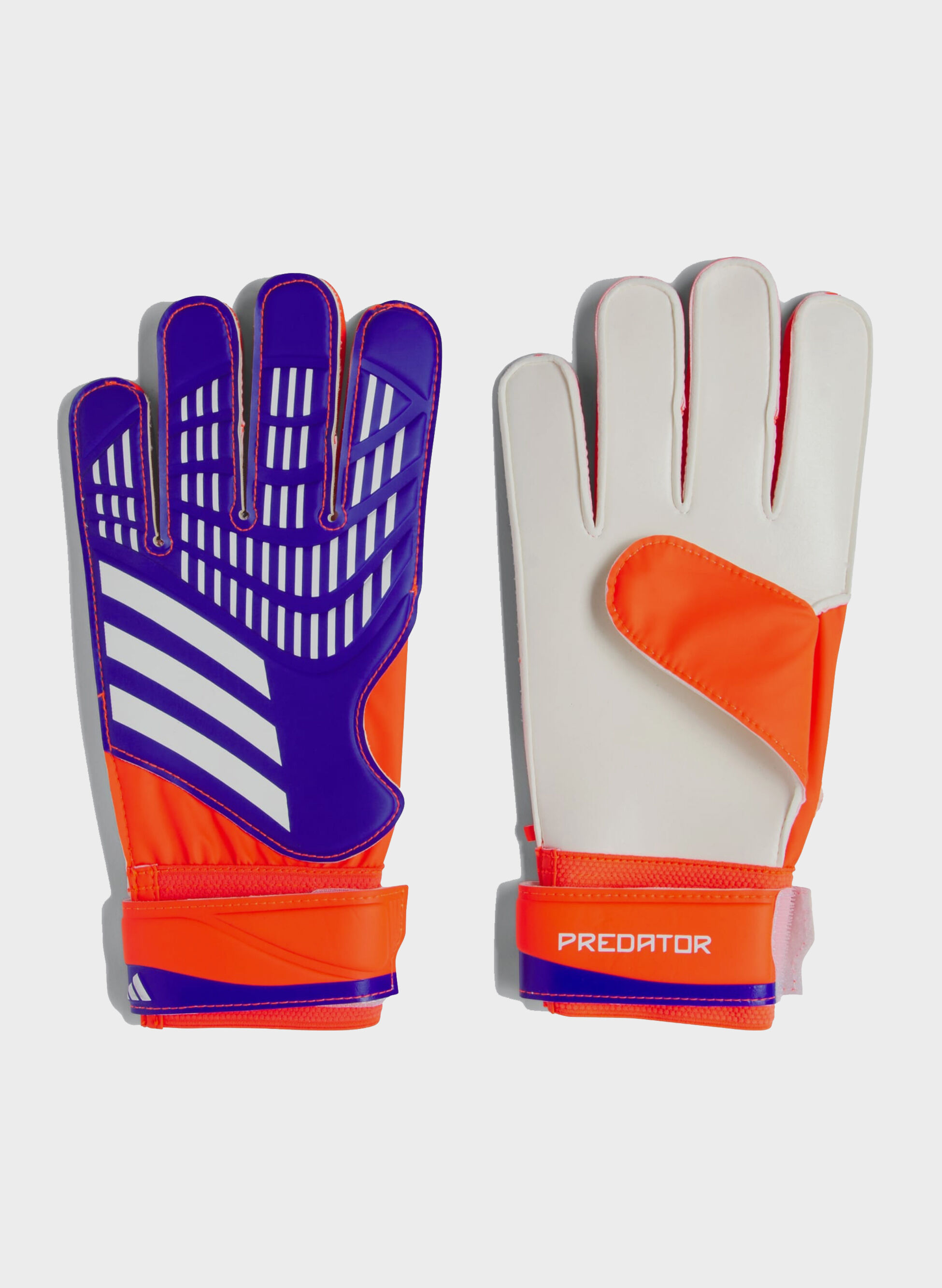 GUANTO PREDATOR TRAINING
