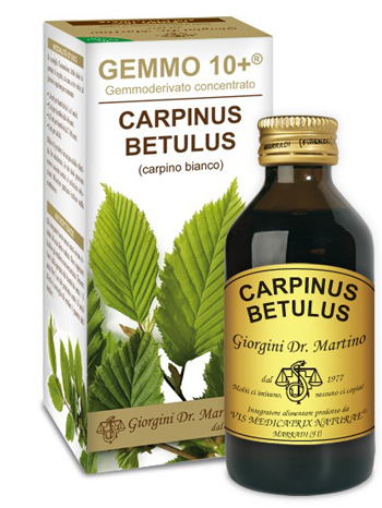 GEMMO 10+ CARPINO BIAN 100ML